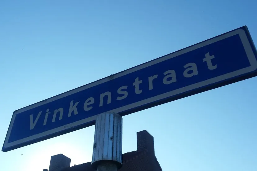 52859699 554959531677008 5391291916308447232 n