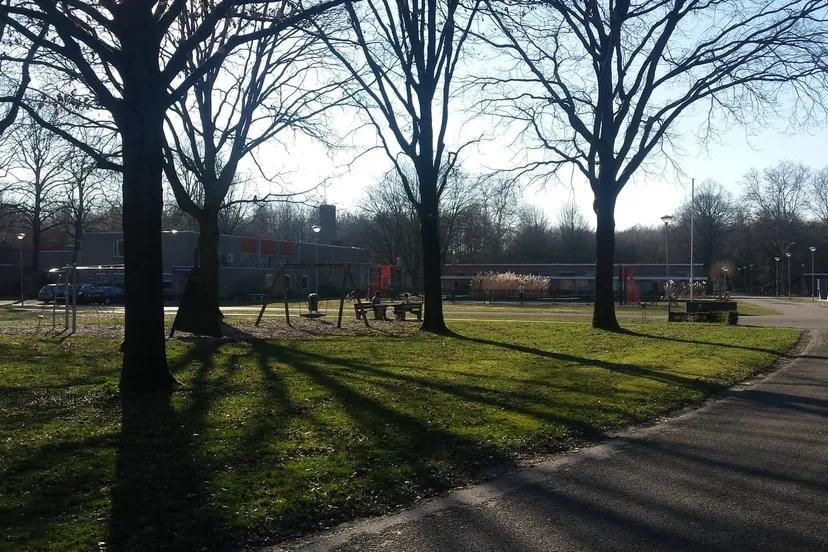 52905722 624072158051576 252417126361464832 n