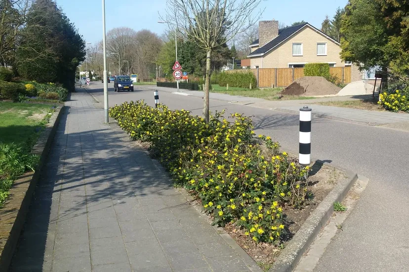 55929371 265234111091415 1913284583202226176 n