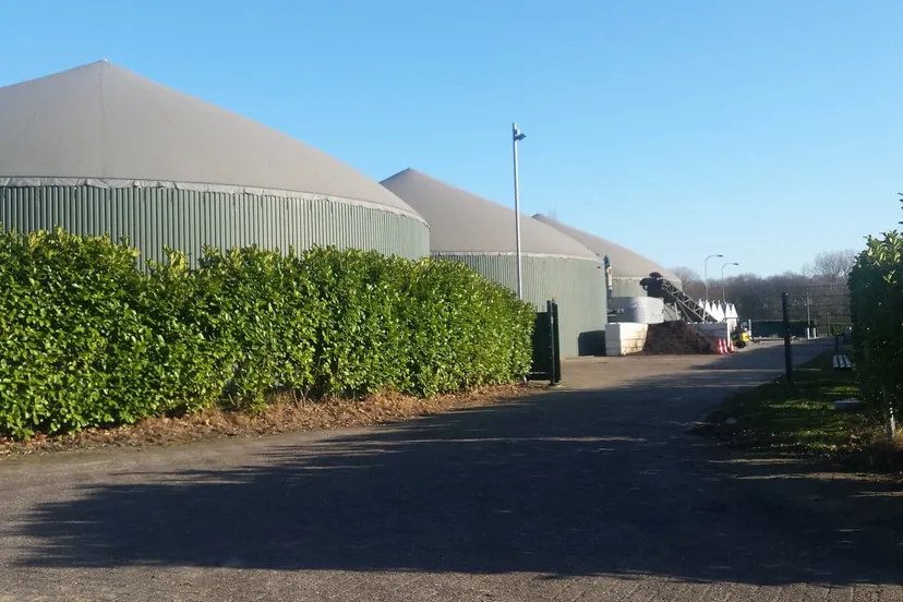 57155121 2234339280159695 7338843853132136448 n