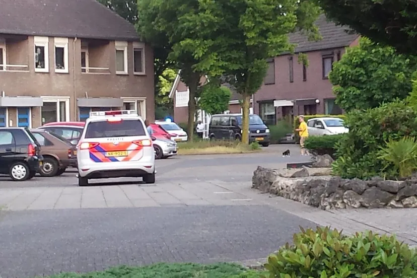 61756139 680595495776407 6541418750120296448 n