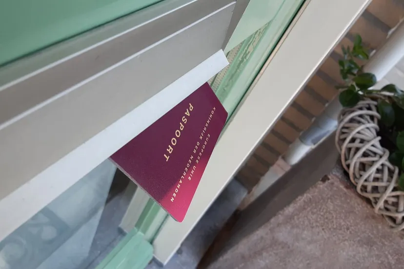 65817975 388608691768447 5046709653677801472 n