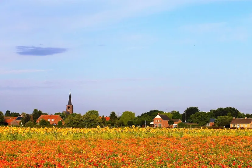 67669721 1569410179861508 6007786337950760960 n 1