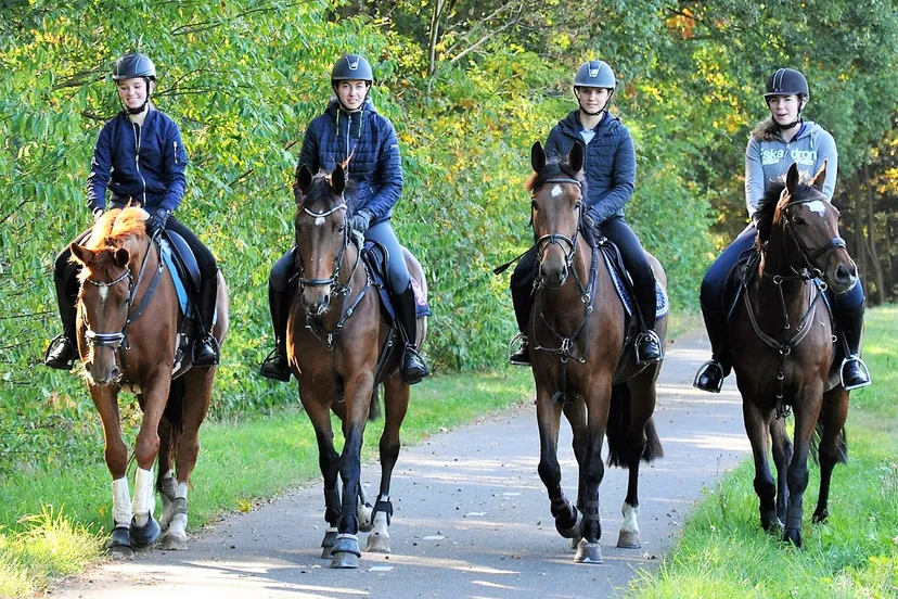 68448625 2926532517363072 1077230991006760960 n