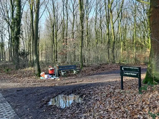 79124258 571439920085011 5123592016407560192 n