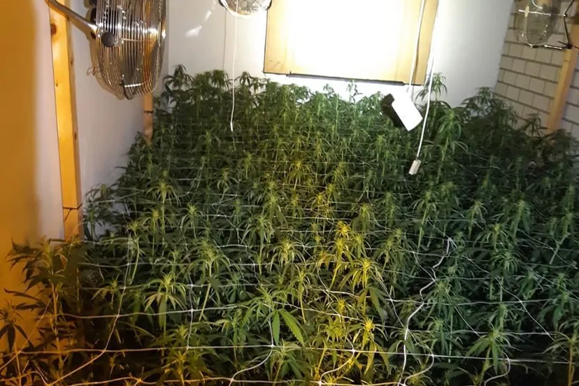 79863132 1257596647781137 8656022340410277888 o