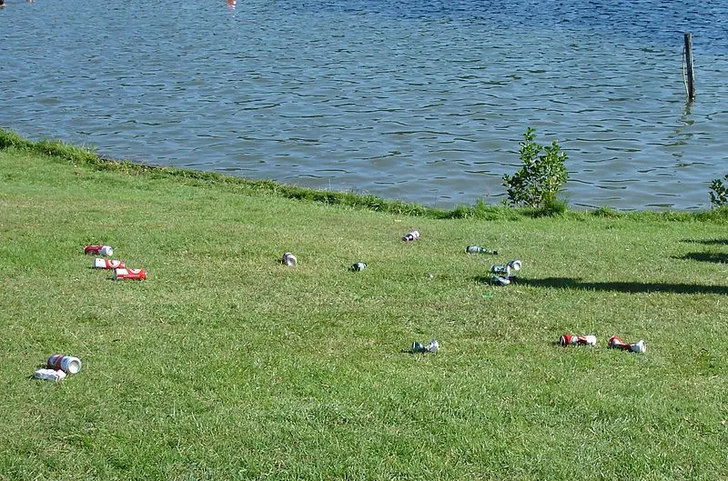 800px sporen van bosvarken