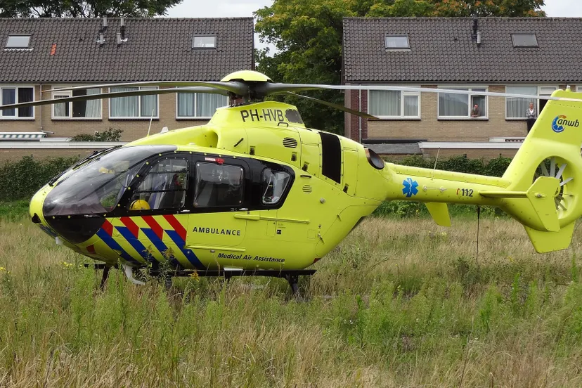 9817845656 bc6cc3b3d0 k