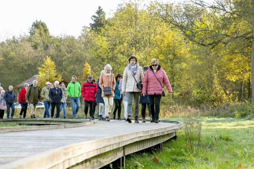 angy 8653 scaled at 1x