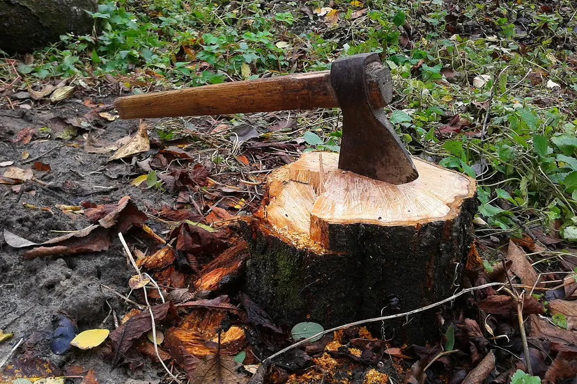 axe 497181 1280