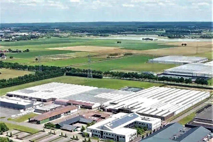 basf extra post nunhem