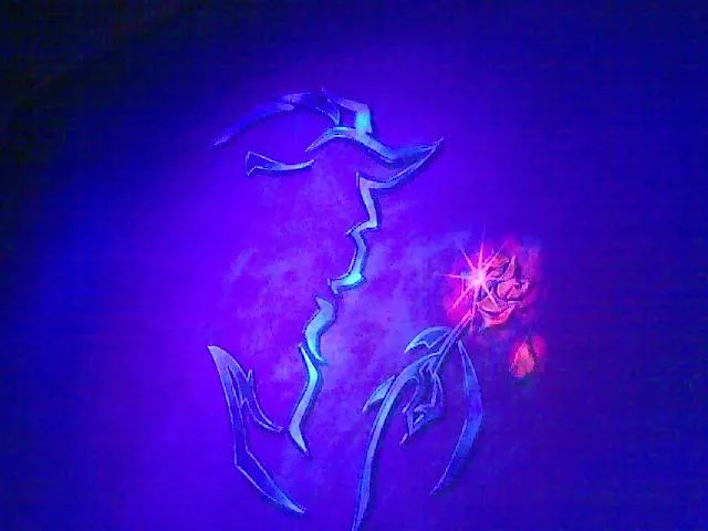 beauty and beast