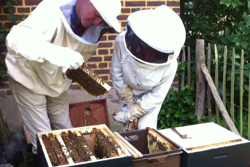 bijenstand geopend