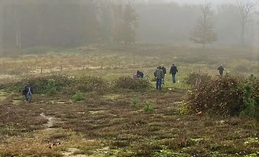 bomenboost aangepast