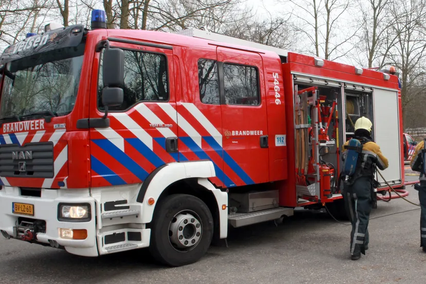 brand1