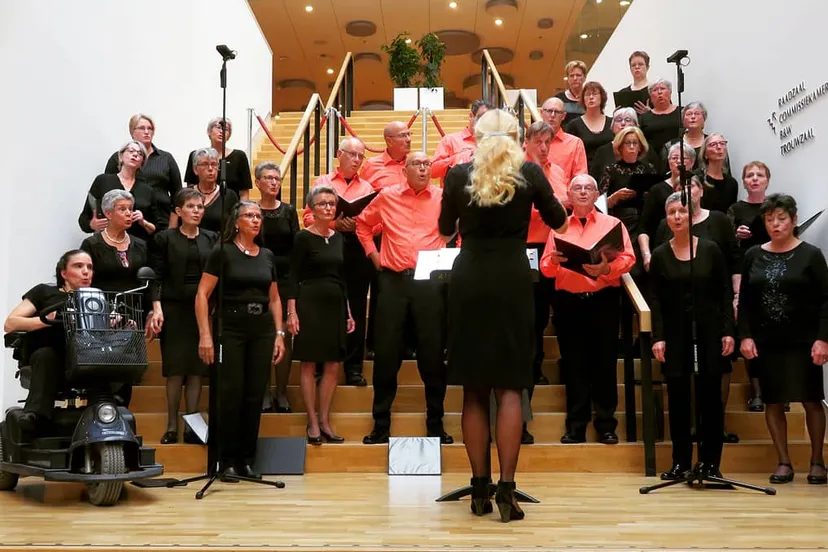 ca cultureel lint 2019