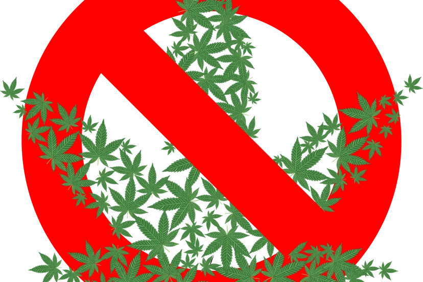 cannabis 2125587 1280