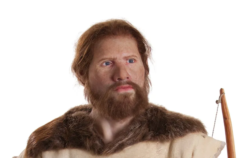 cees de steentijdman1