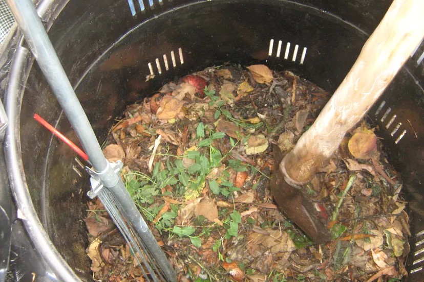 composting in the escuela barreales