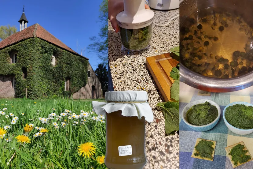 denatuuroptafel 05 05 2024