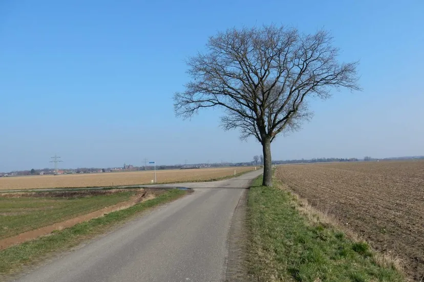 eik meiboomkenswegklein 1080x675
