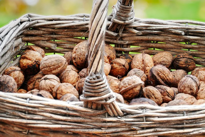 eten uit de natuur 3