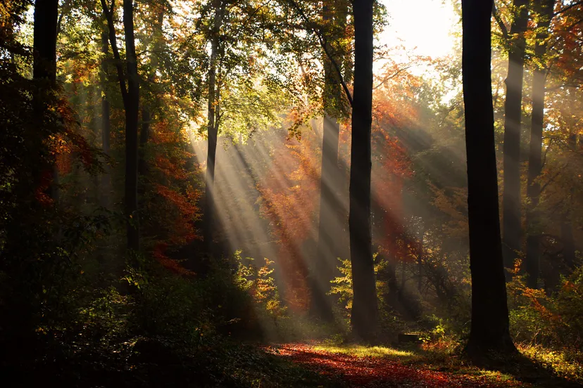 fall ge4c29103b 1920