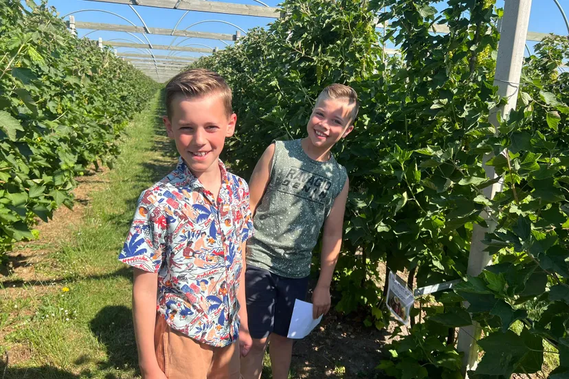 foto 13 06 2023 15 17 27 1