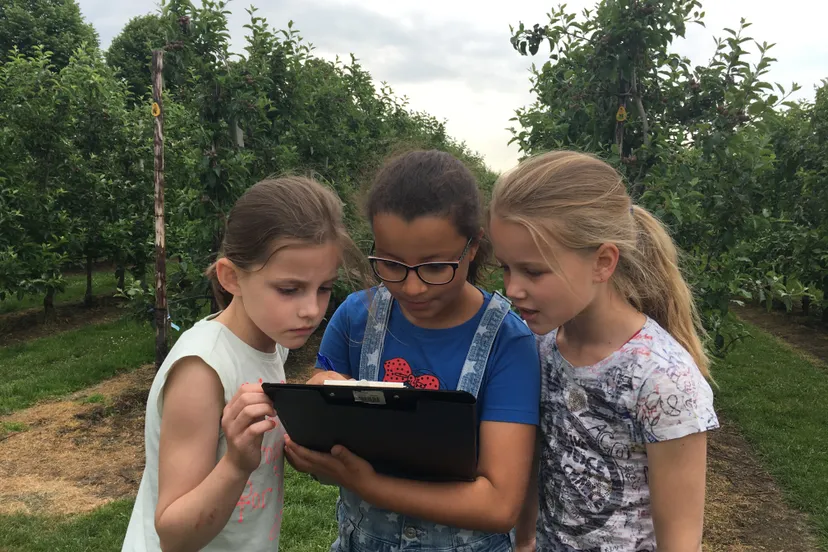 foto 24 05 18 10 14 37