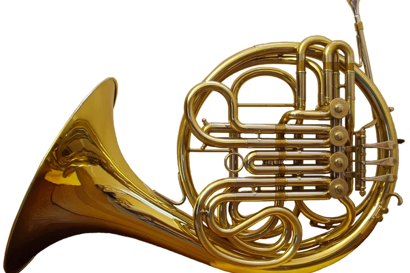french horn front