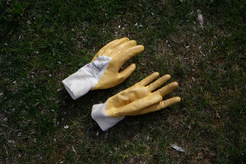 gloves 107005 1920