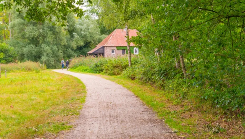 https cdnevbuc com images 703726139 1481658683183 1 original