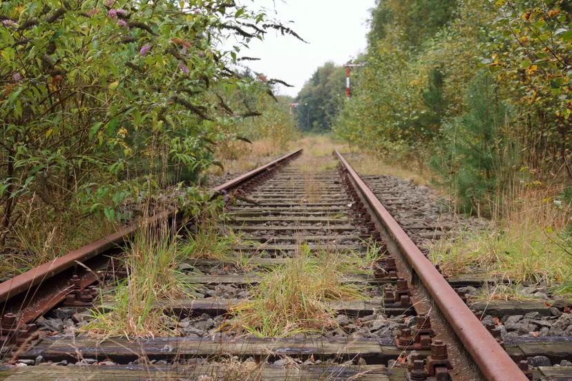 ijzeren rijn iron rhine 2878639513