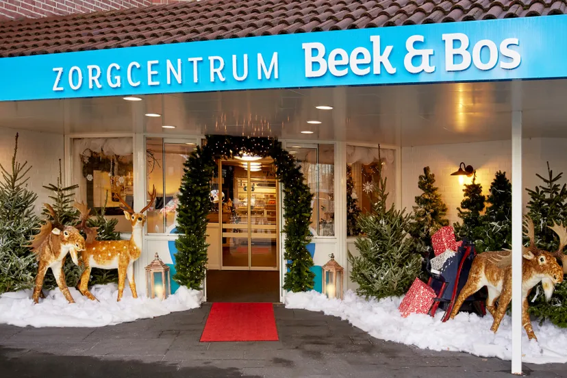 kerstsfeer bij beek en bos
