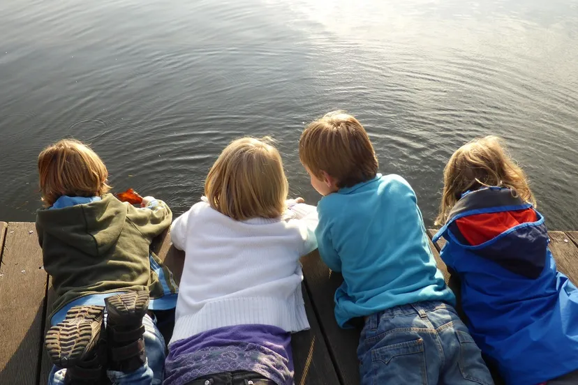 kringloop in de natuur 1