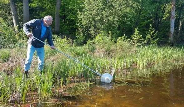 macrofauna 768x346 1