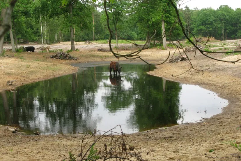 natura 2000 wandeling inloopmiddag