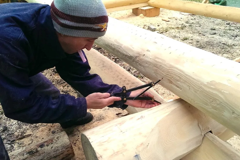 natural stem house 263721 1280