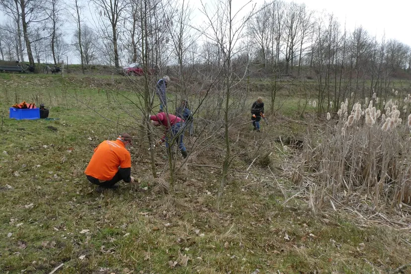 natuurwerkdag maart 2019