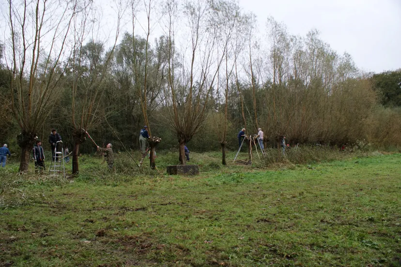 natuurwerkochtend