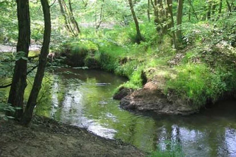 ontdek het leudal leubeek