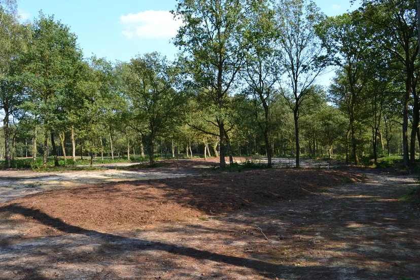 oorspronkelijke bewoners