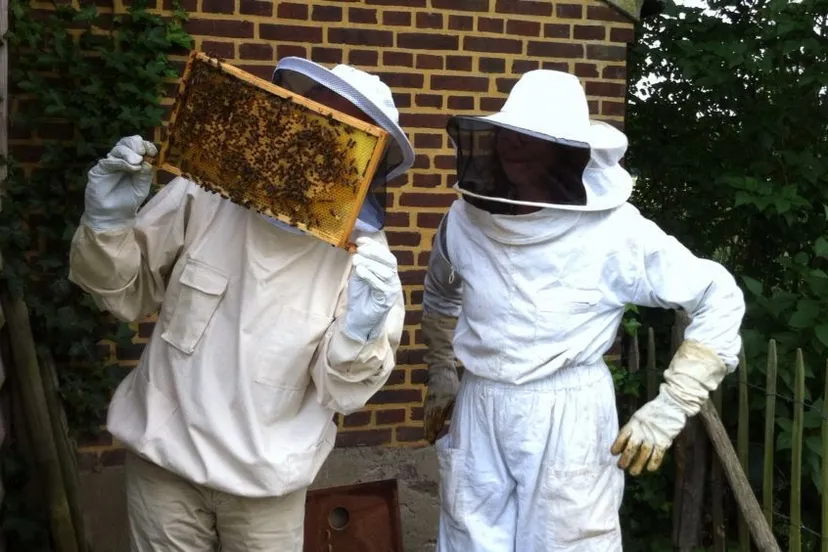 open bijenstand juli