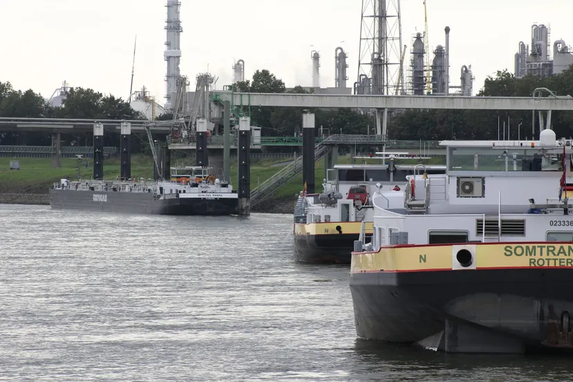 rhine 924197 1920