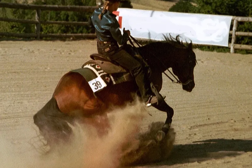 sliding stop flachsberg