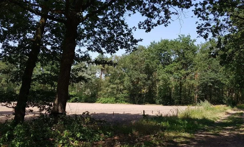 stilste gebied foto2