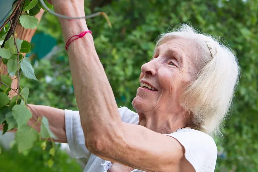 the old lady 3503684 1920