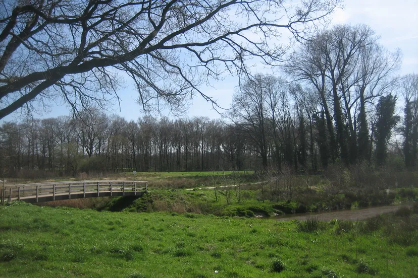 tungelroysebeek hh diepte