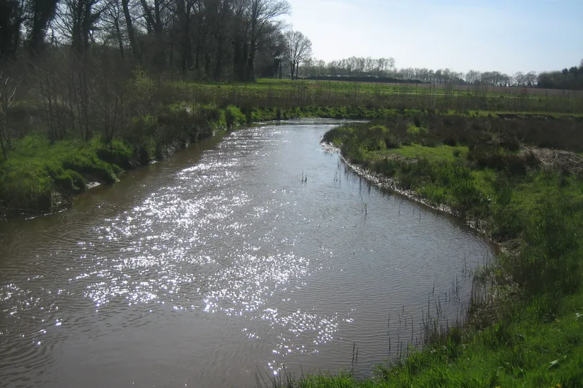 tungelroysebeek hh1