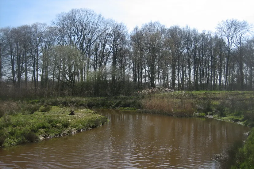 tungelroysebeek hh3